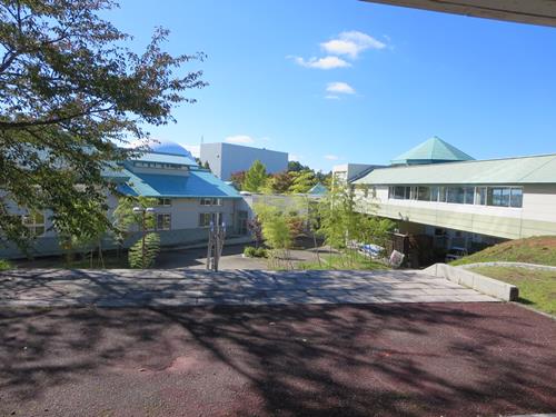 【10月の秋田旅行】⑤秋田ふるさと村の秋田県立近代美術館で「猫まみれ展」_c0042960_21465018.jpg