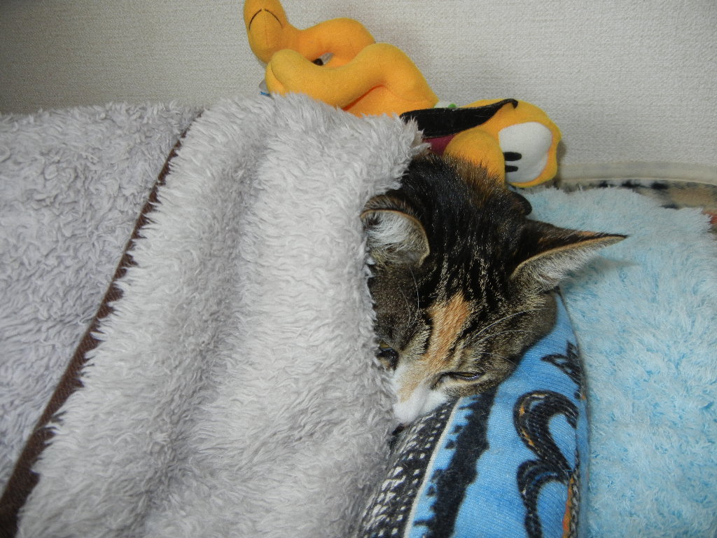 ’14,10,20(月)真っ赤な日の出と朝ごはん!_f0060461_1033753.jpg