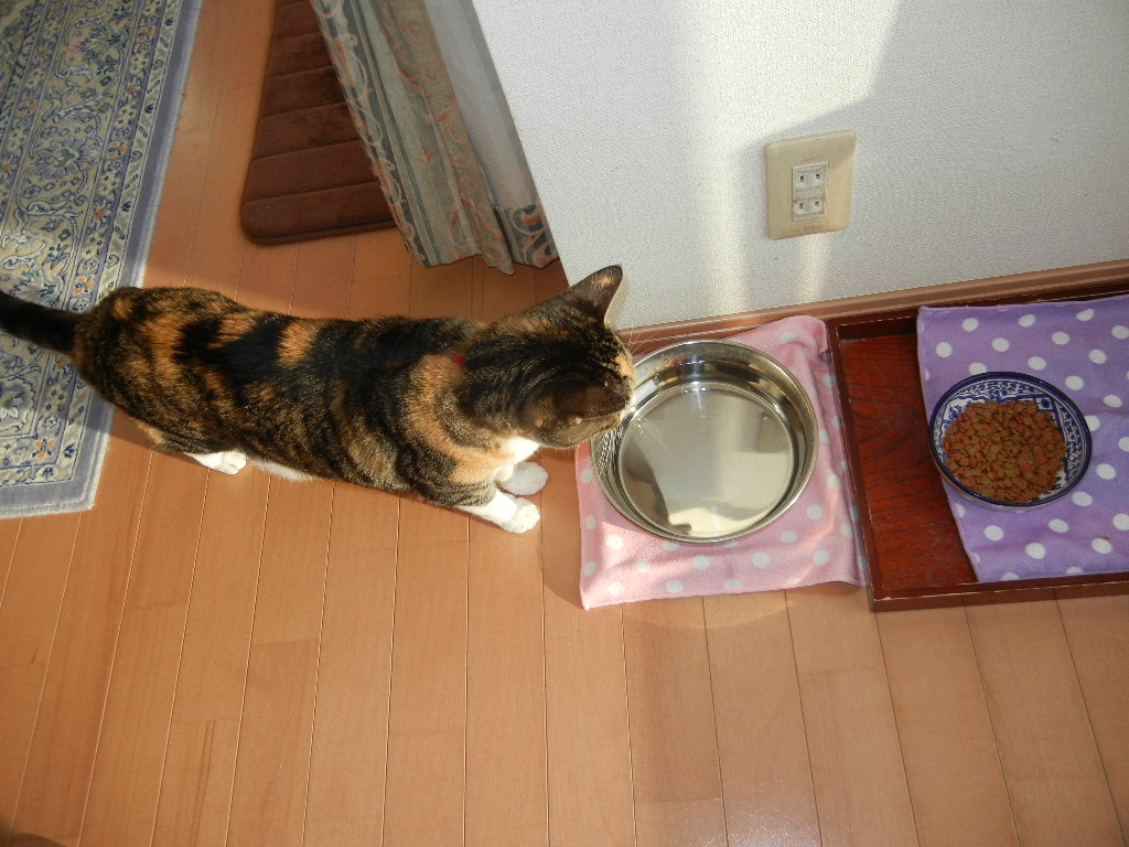 ’14,10,20(月)真っ赤な日の出と朝ごはん!_f0060461_10341662.jpg