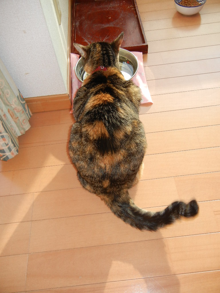 ’14,10,20(月)真っ赤な日の出と朝ごはん!_f0060461_10354051.jpg