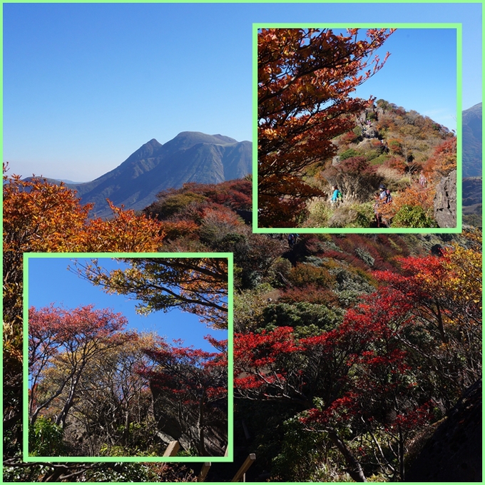 朝駆け花駆け紅葉駆けの九重山（星生山、扇ヶ鼻、涌蓋山）_f0016066_329044.jpg