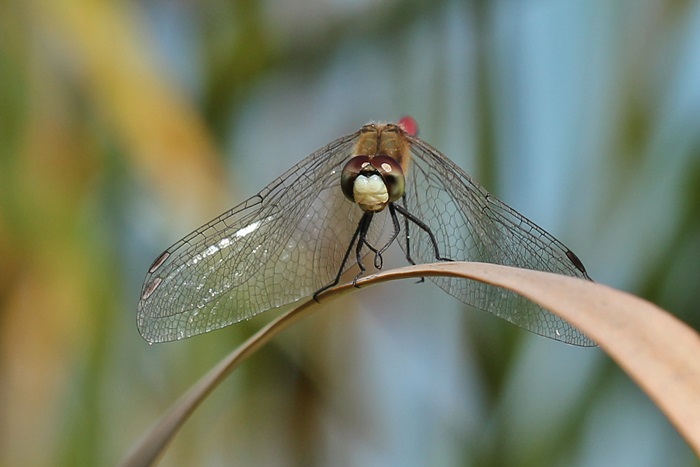 b0088772_201229.jpg