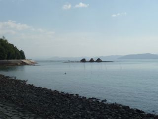 e0046477_76618.jpg