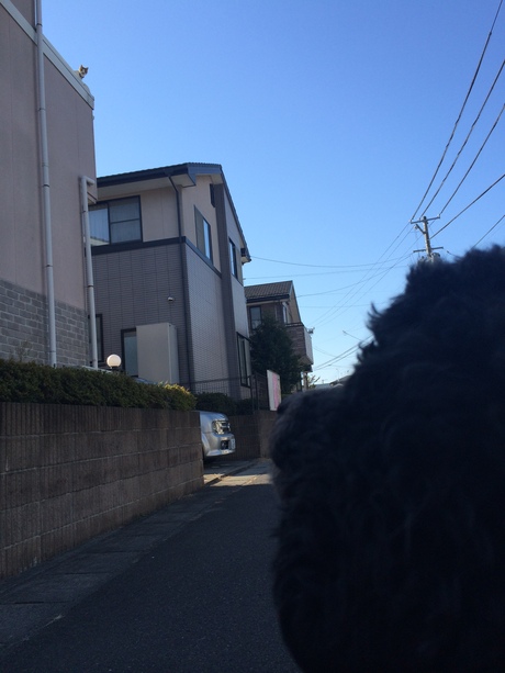 c0283778_1953316.jpg