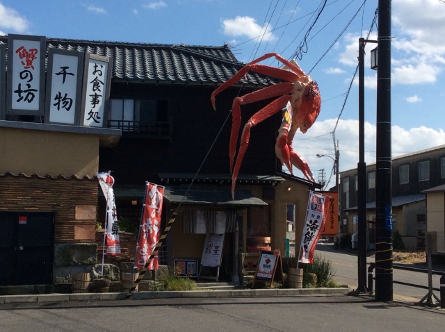 こてっちゃんと私が好きなサンセットビーチ_a0118079_23560384.jpg