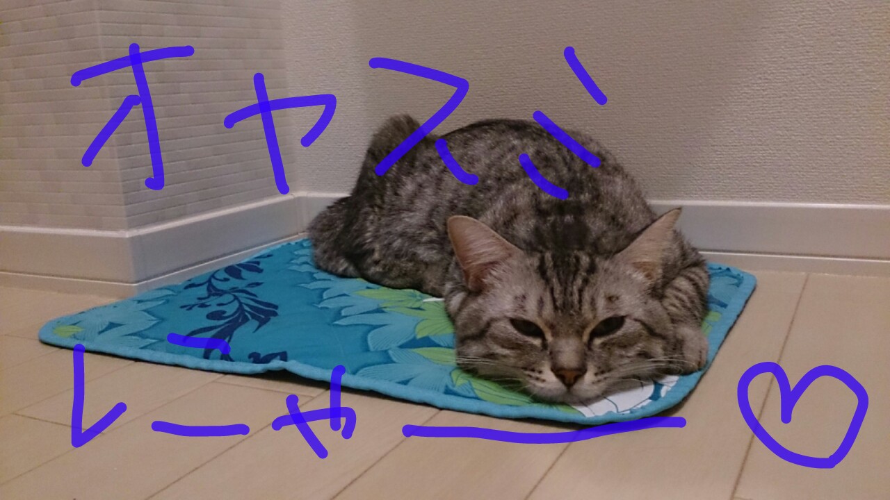 ぼると、寝ている_c0245679_00125231.jpg