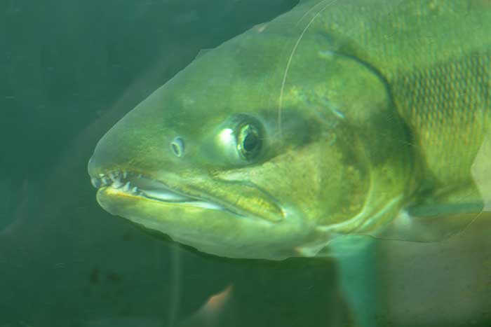 f0212586_7575266.jpg