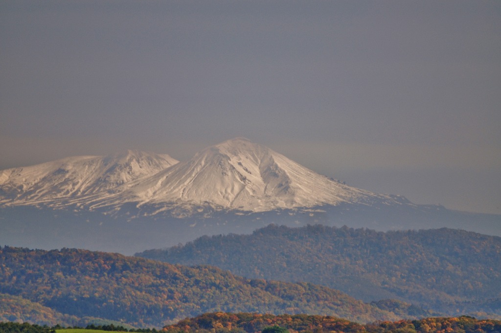 深川　桜山_c0240388_15443928.jpg