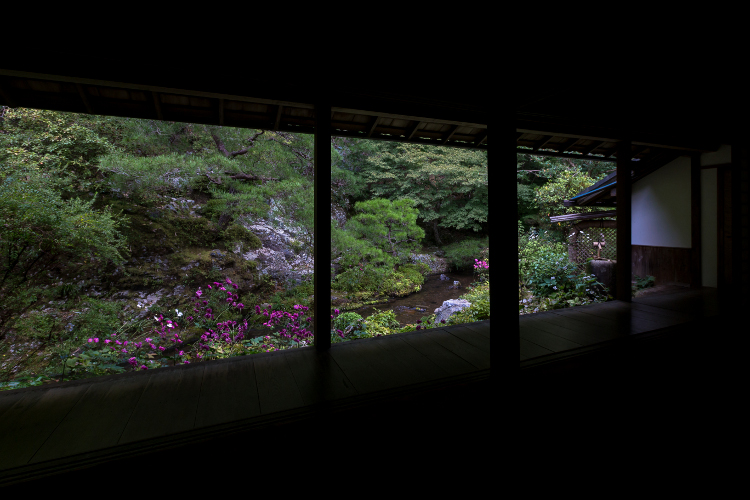 蓮華寺_e0051888_410353.jpg