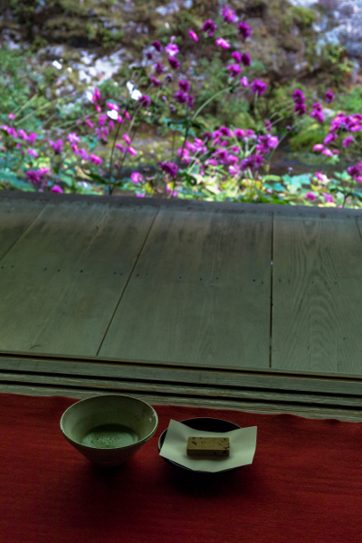 蓮華寺_e0051888_4122538.jpg