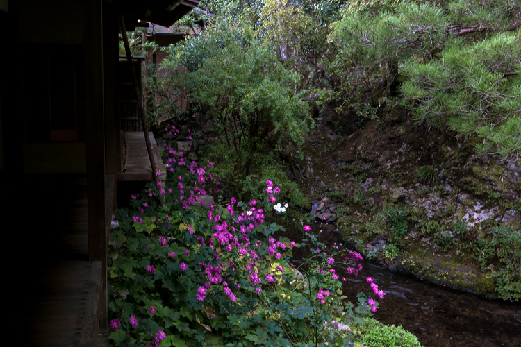 蓮華寺_e0051888_412534.jpg