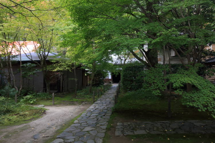 蓮華寺_e0051888_46283.jpg