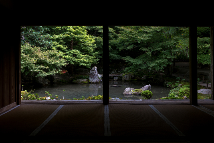 蓮華寺_e0051888_471825.jpg