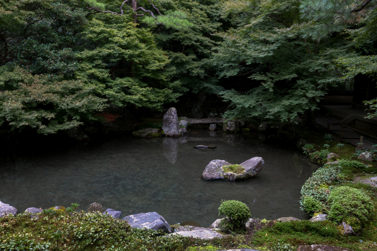 蓮華寺_e0051888_484251.jpg
