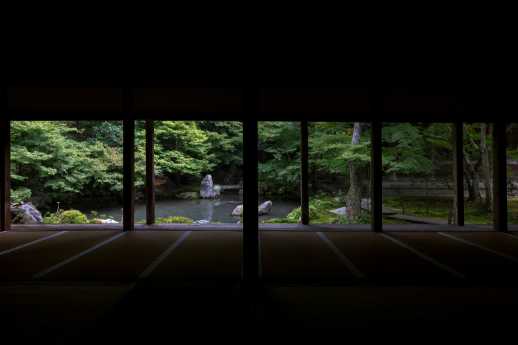 蓮華寺_e0051888_493451.jpg