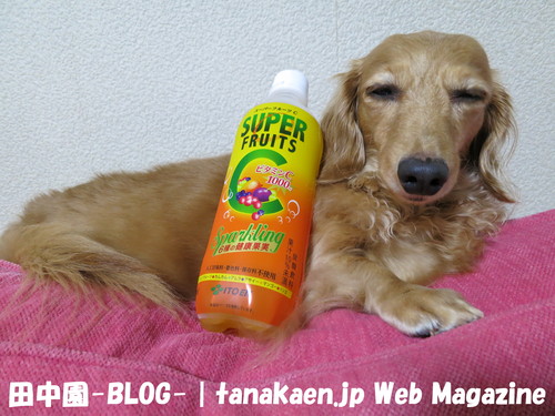 休めないな～・・・_b0200291_22244992.jpg