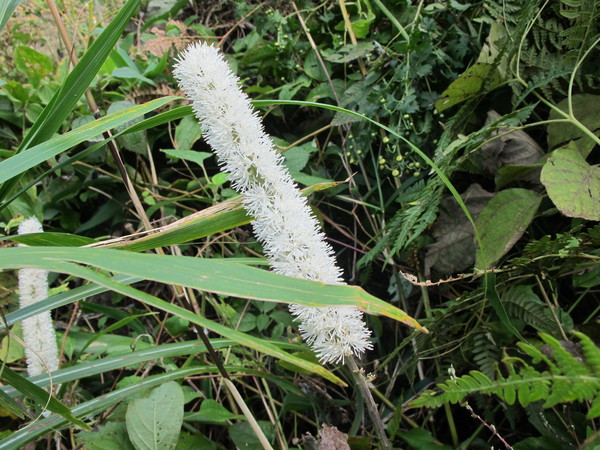 a0166196_1845110.jpg