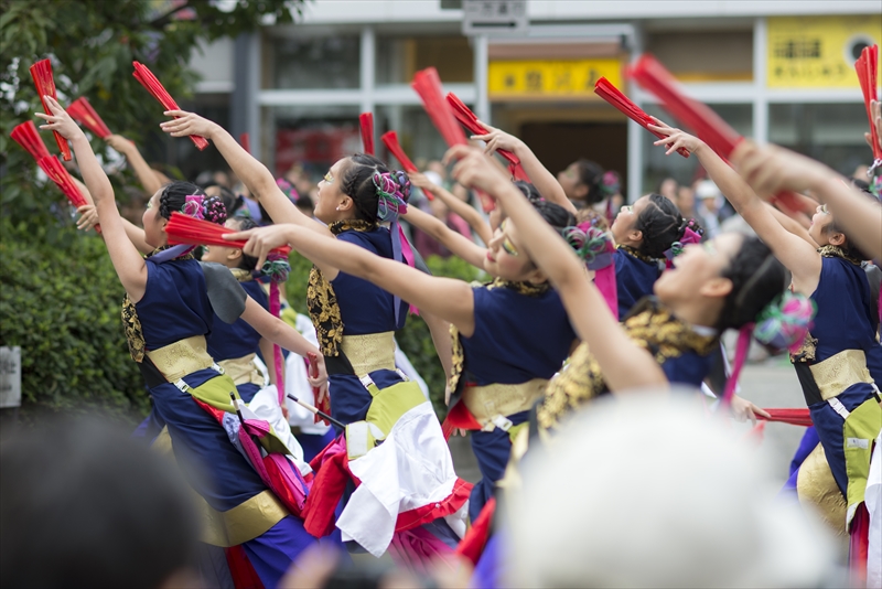 2014 東京よさこい 疾風乱舞_a0296897_1424842.jpg