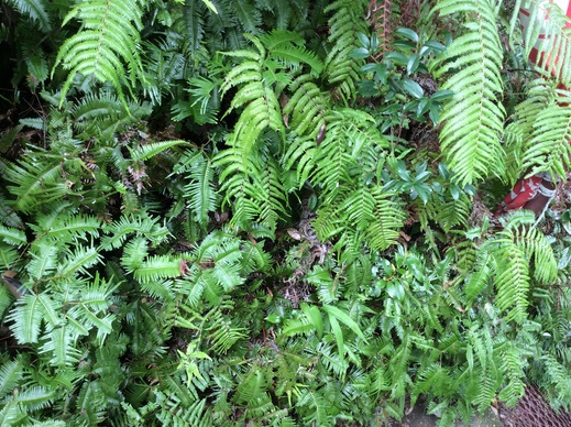 f0247600_19193762.jpg