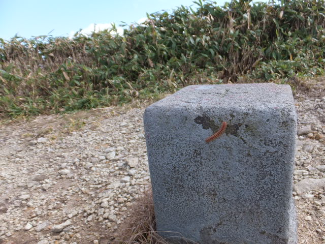a0271502_1844348.jpg
