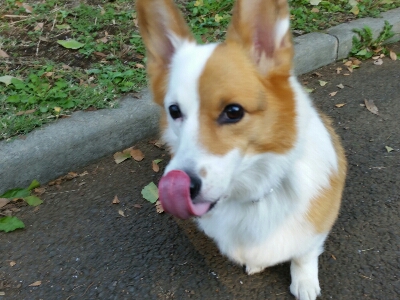 f0073805_11204674.jpg