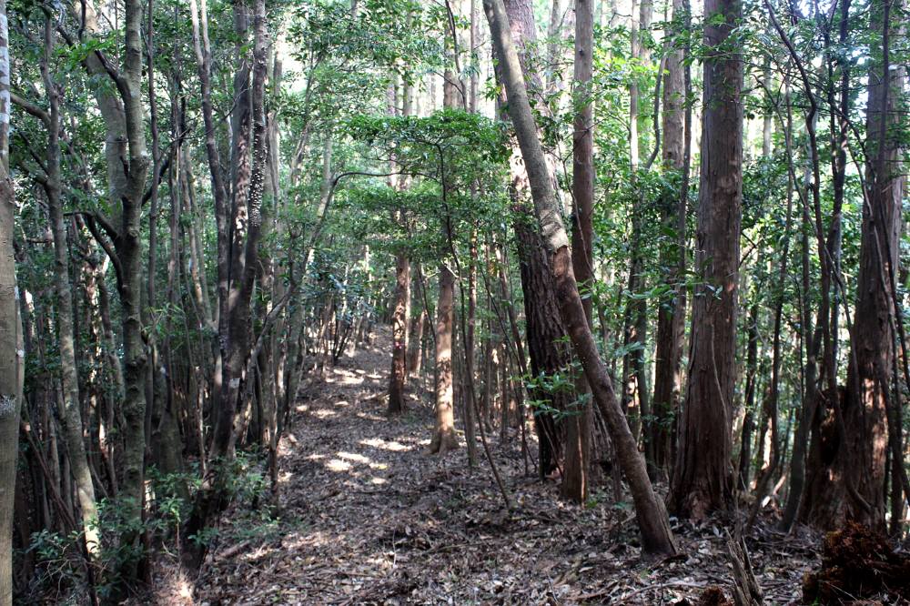 f0212511_23254830.jpg