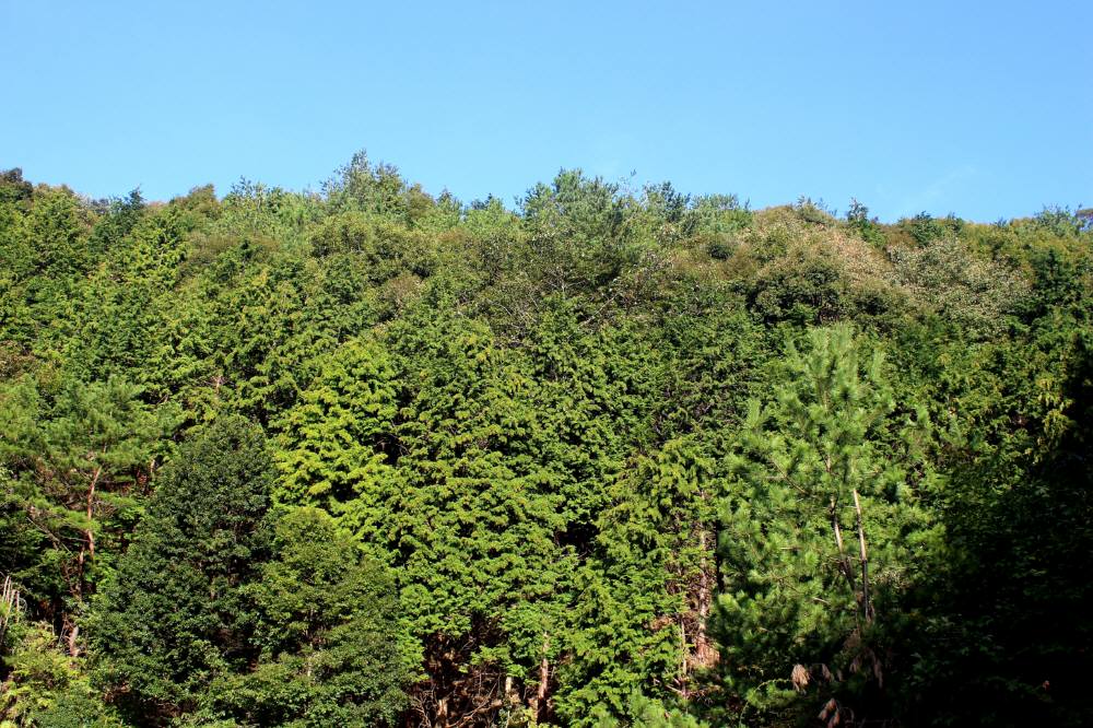 f0212511_23255136.jpg