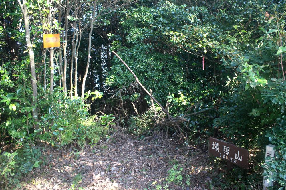 f0212511_23264923.jpg