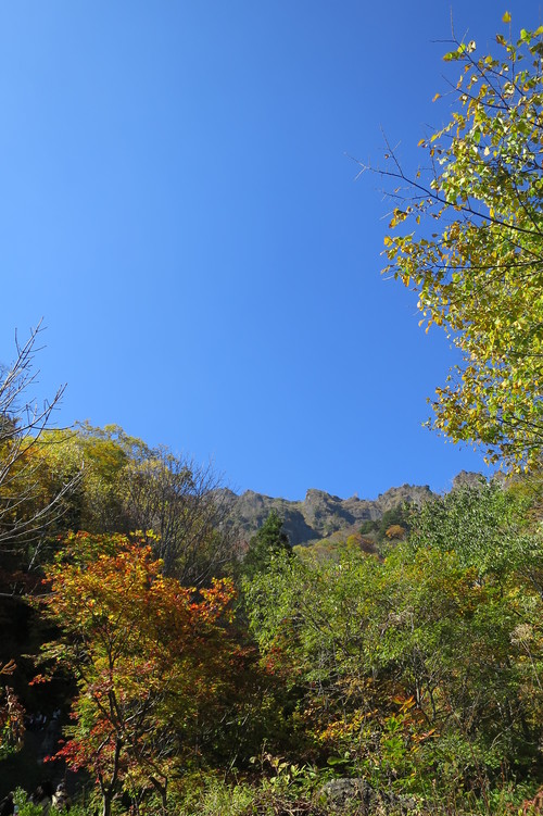 d0038712_2257988.jpg