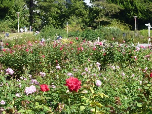 a0177314_1955318.jpg