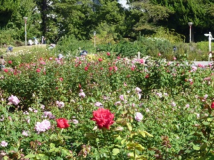 靭公園で_a0177314_1955318.jpg