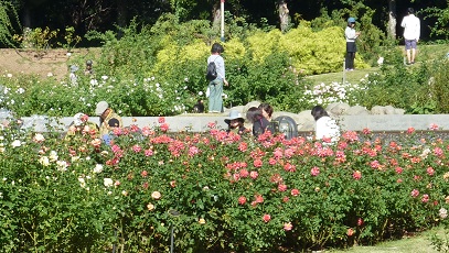 靭公園で_a0177314_1961230.jpg