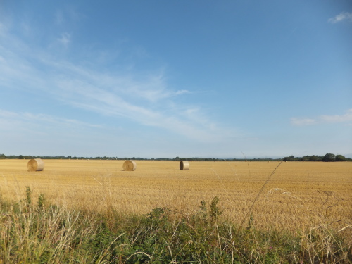 f0320815_22214576.jpg