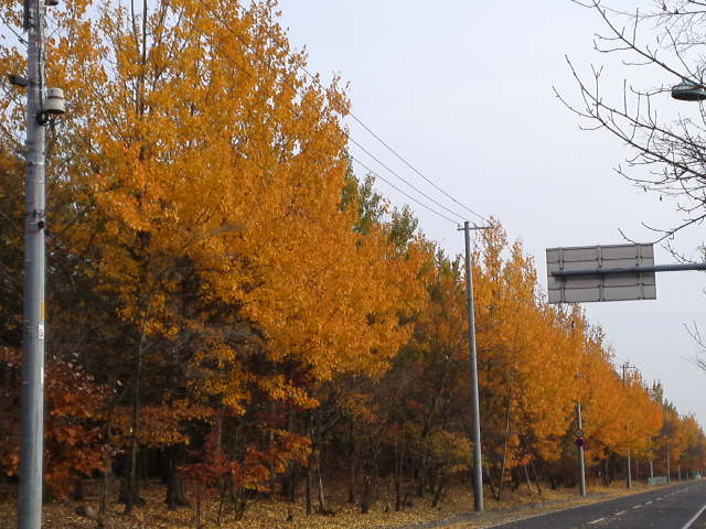 b0300818_16301045.jpg