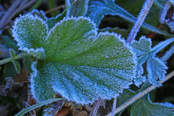 c0104227_13393337.jpg