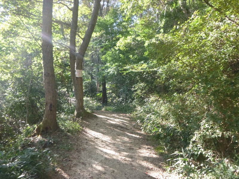 c0113733_23133781.jpg