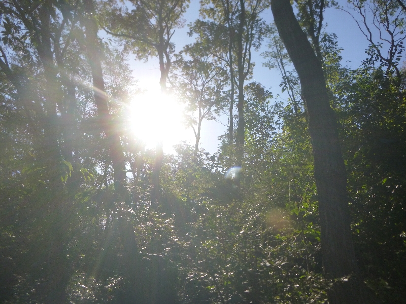 c0113733_23135711.jpg