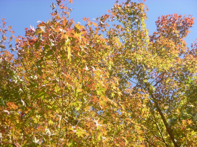 c0113733_2315692.jpg