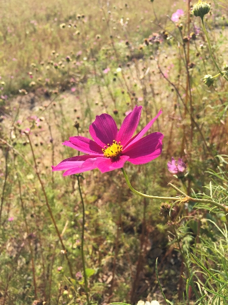 c0113733_233257100.jpg