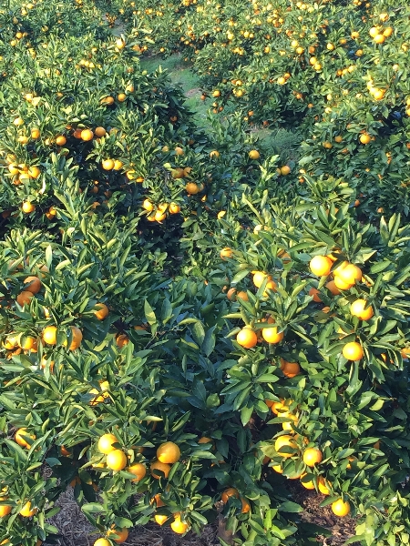 c0113733_23342316.jpg