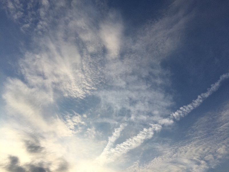 c0113733_23361120.jpg