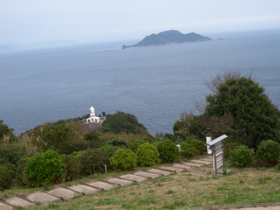 佐賀関海星館にて”旅する蝶”アサギマダラの見学_e0272335_1937253.jpg