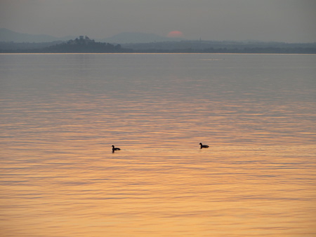 f0234936_22213.jpg