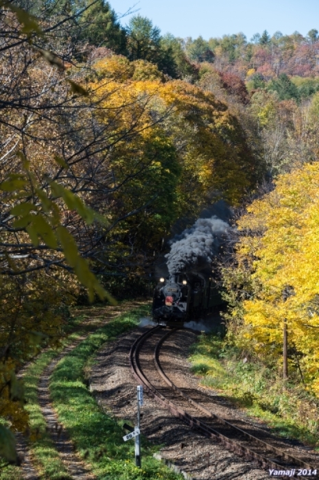 f0194048_11121377.jpg