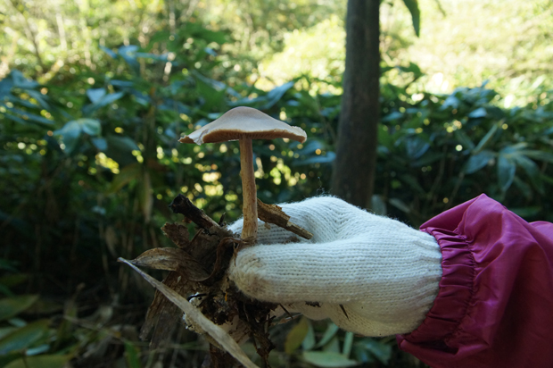 f0214649_513324.jpg