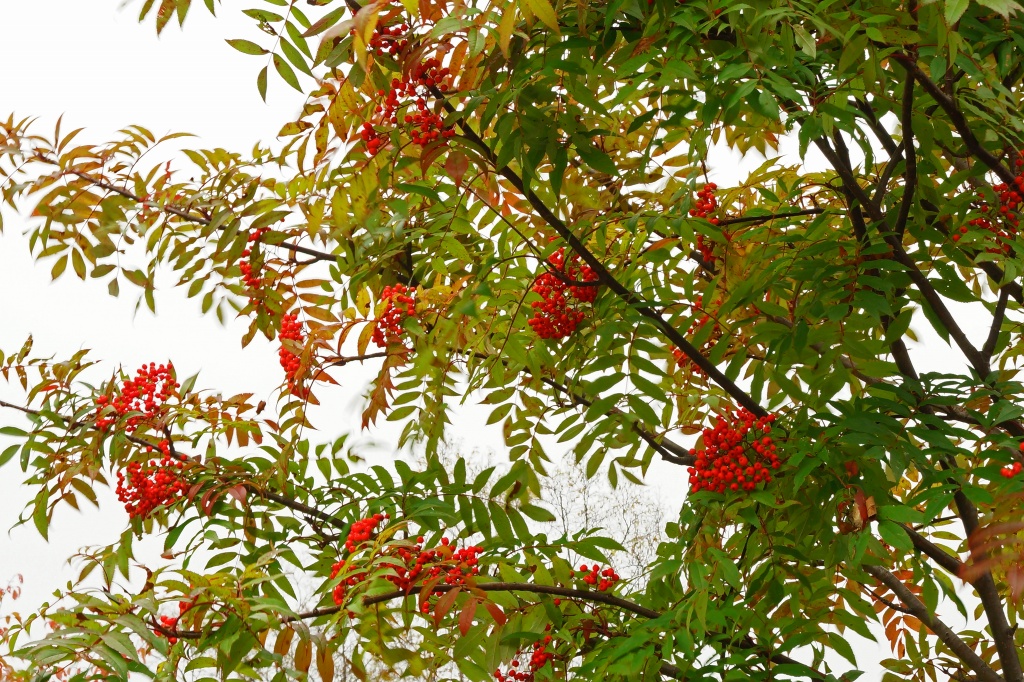 e0229455_14342964.jpg