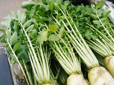 長尾ブランドの新鮮野菜!朝採りダイコン発売開始!!『七城米 長尾さんこだわりのお米』新米も好評発売中!!_a0254656_19164856.jpg