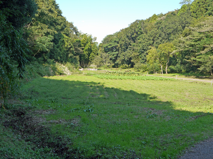 茅ヶ崎里山公園での交流会及び研修会に参加10・16_c0014967_12283056.jpg