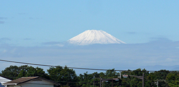 茅ヶ崎里山公園での交流会及び研修会に参加10・16_c0014967_12342473.jpg