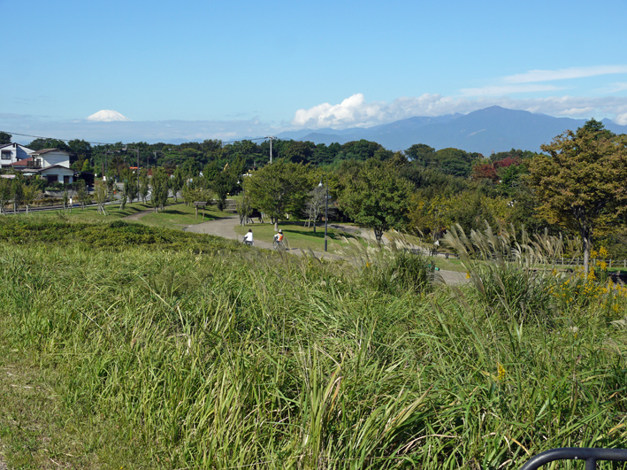 茅ヶ崎里山公園での交流会及び研修会に参加10・16_c0014967_12343712.jpg